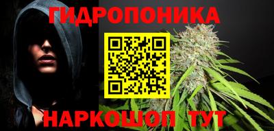 экстази Гай