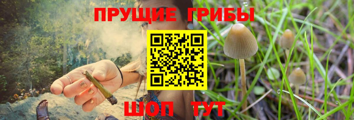 где можно купить   Вход с VPN  Мыски  Псилоцибиновые грибы Psilocybe 